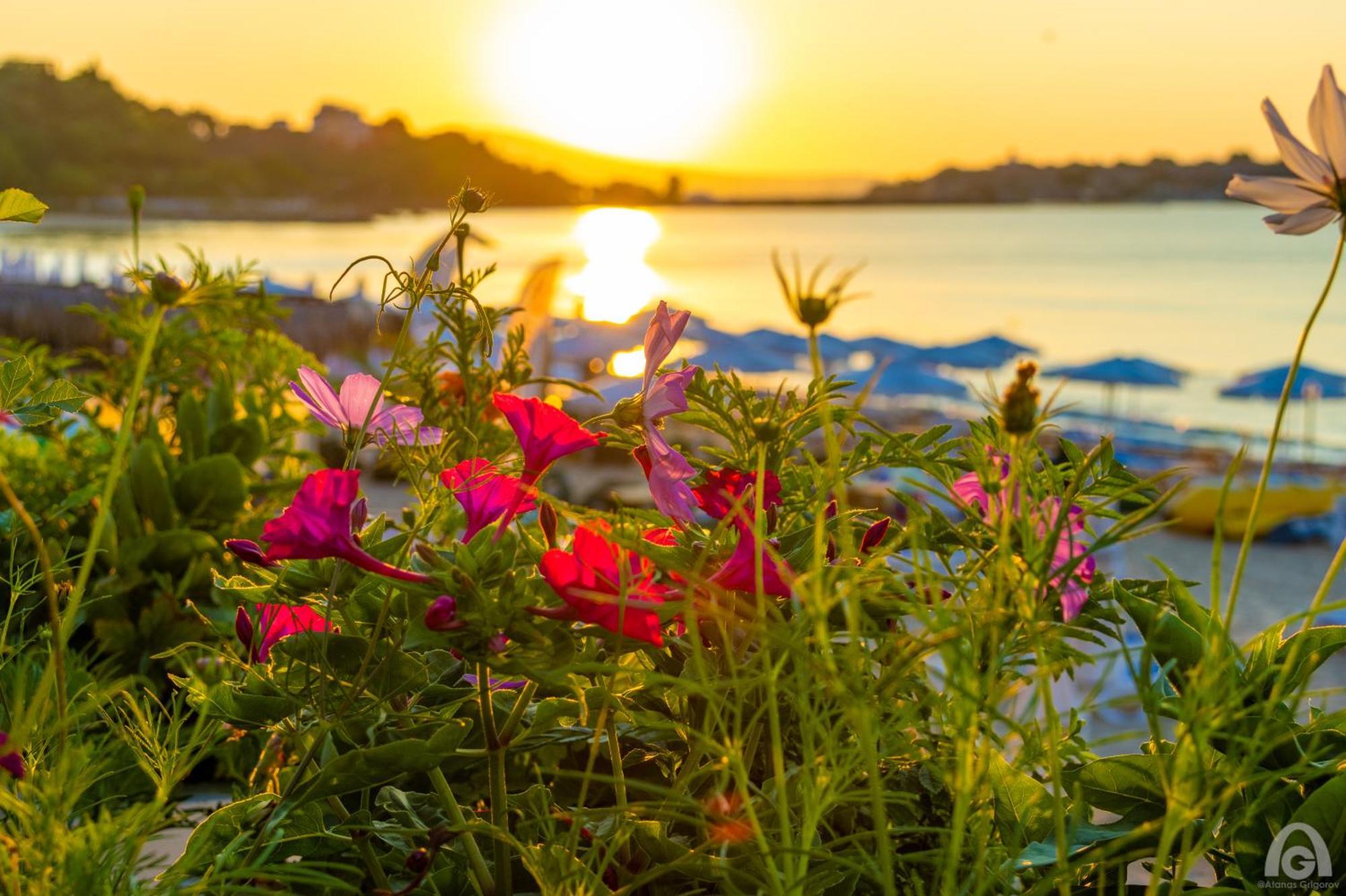Aphrodite Beach Hotel Nesebar Exterior foto